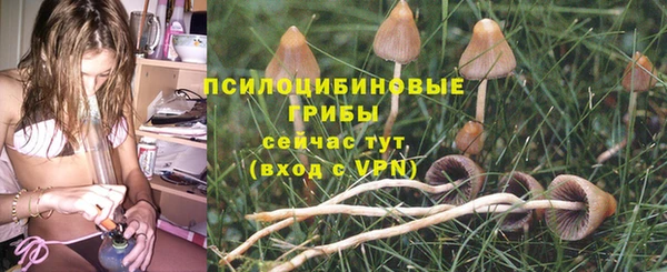 mdpv Мегион