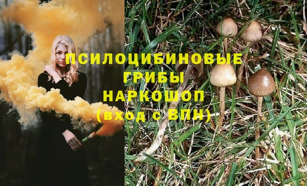 винт Медвежьегорск
