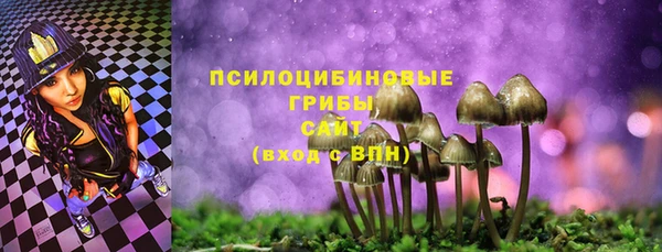 mdpv Мегион