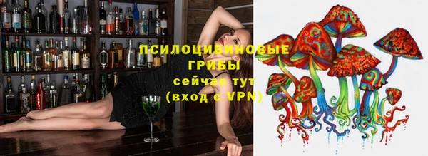 прущий лед Михайлов