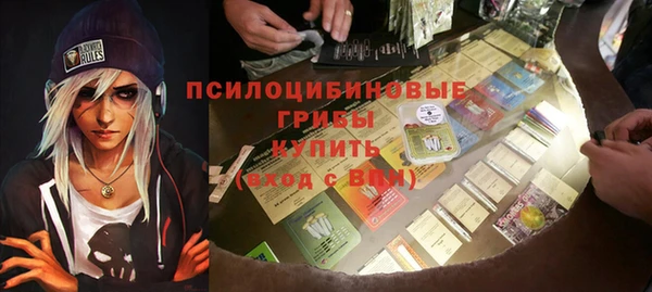амф Медногорск