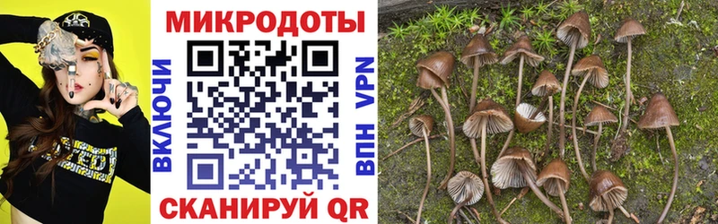 Галлюциногенные грибы Psilocybine cubensis  Новоаннинский 